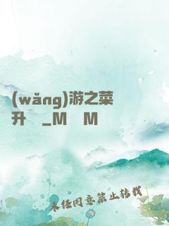 網(wǎng)游之菜鳥升職記