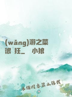 網(wǎng)游之菜鳥很瘋狂