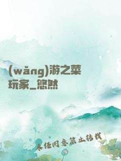 網(wǎng)游之菜鳥玩家