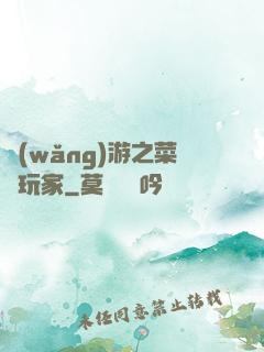 網(wǎng)游之菜鳥玩家