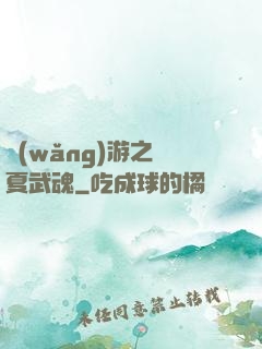 網(wǎng)游之華夏武魂