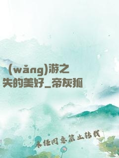 網(wǎng)游之遺失的美好