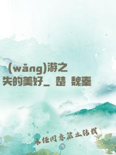 網(wǎng)游之遺失的美好