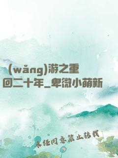 網(wǎng)游之重回二十年