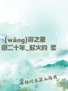 網(wǎng)游之重回二十年