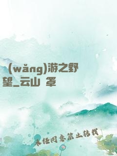 網(wǎng)游之野望