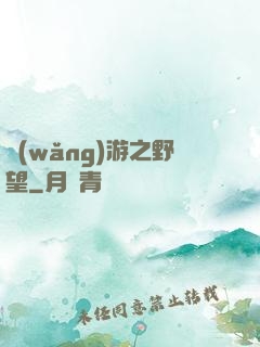 網(wǎng)游之野望