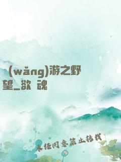 網(wǎng)游之野望