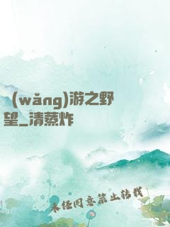 網(wǎng)游之野望