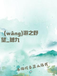 網(wǎng)游之野望