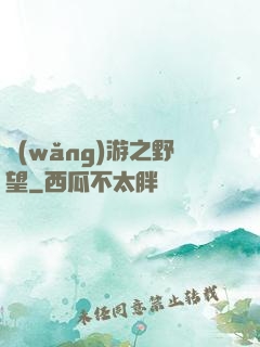 網(wǎng)游之野望
