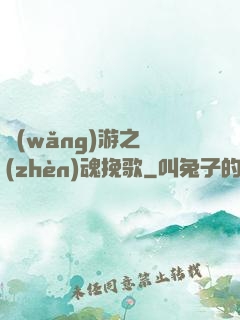網(wǎng)游之鎮(zhèn)魂挽歌