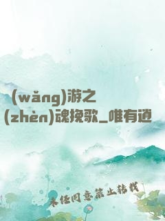 網(wǎng)游之鎮(zhèn)魂挽歌