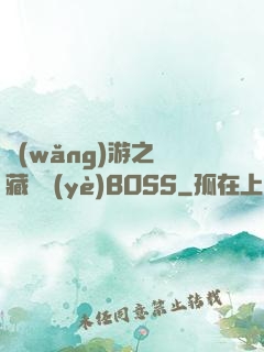 網(wǎng)游之隱藏職業(yè)BOSS