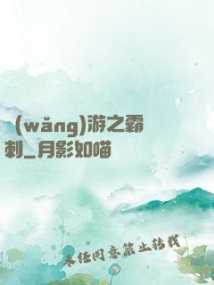 網(wǎng)游之霸刺