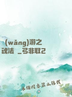 網(wǎng)游之靈魂法師