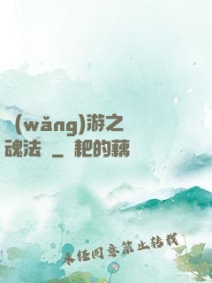 網(wǎng)游之靈魂法師