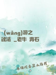 網(wǎng)游之靈魂法師