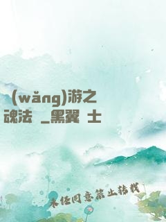 網(wǎng)游之靈魂法師