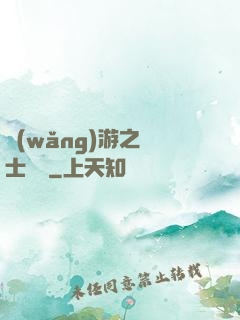 網(wǎng)游之騎士無雙
