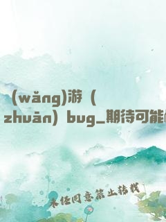 網(wǎng)游專(zhuān)屬bug