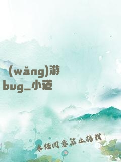 網(wǎng)游專屬bug