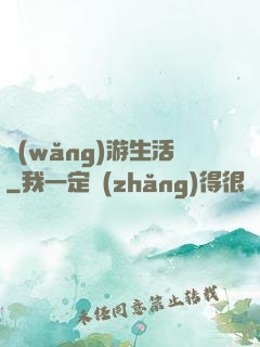 網(wǎng)游生活