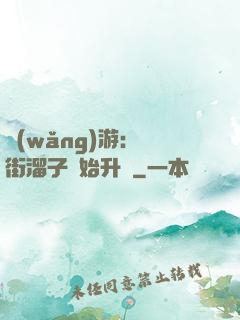 網(wǎng)游：從街溜子開始升級