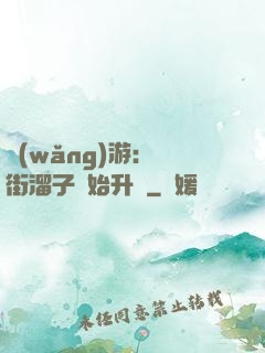 網(wǎng)游：從街溜子開始升級