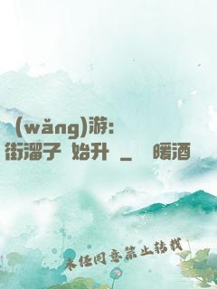 網(wǎng)游：從街溜子開始升級