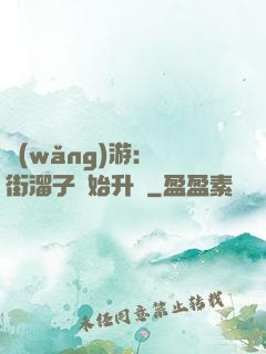 網(wǎng)游：從街溜子開始升級