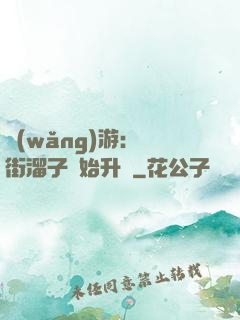 網(wǎng)游：從街溜子開始升級