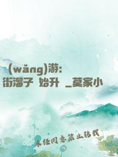 網(wǎng)游：從街溜子開始升級