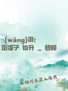 網(wǎng)游：從街溜子開始升級