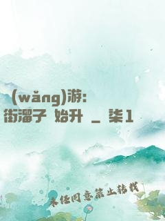 網(wǎng)游：從街溜子開始升級