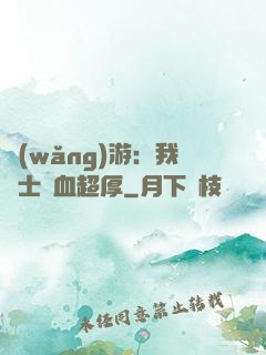 網(wǎng)游：我騎士號血超厚