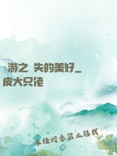 網游之遺失的美好