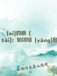 練習(xí)的心態(tài)：如何培養(yǎng)耐心、專注和自律