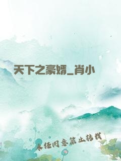 縱橫天下之豪婿