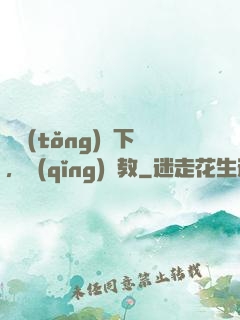 總統(tǒng)閣下，請(qǐng)賜教