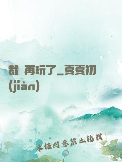 總裁別再玩了