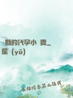 總裁的代孕小嬌妻