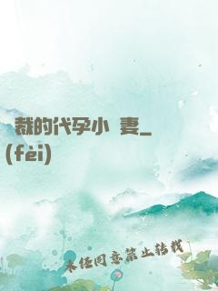 總裁的代孕小嬌妻