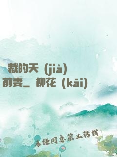 總裁的天價(jià)前妻