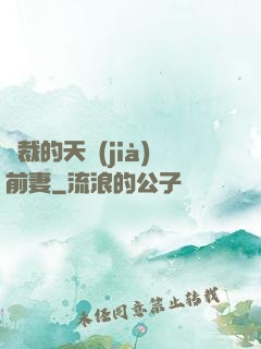 總裁的天價(jià)前妻