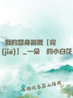 總裁的替身前妻【完結(jié)】
