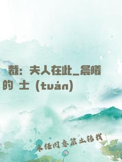 總裁：夫人在此
