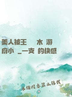 美人被王爺罰騎木驢游府小說