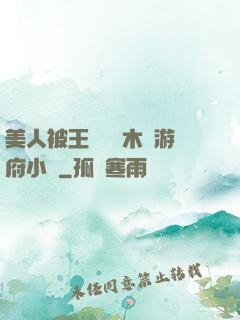 美人被王爺罰騎木驢游府小說