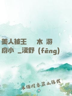 美人被王爺罰騎木驢游府小說